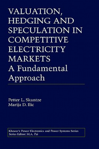 Könyv Valuation, Hedging and Speculation in Competitive Electricity Markets Petter L. Skantze