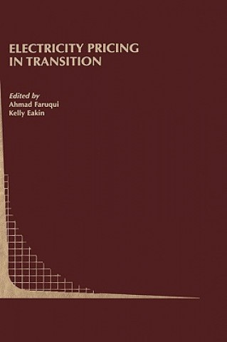 Book Electricity Pricing in Transition Ahmad Faruqui