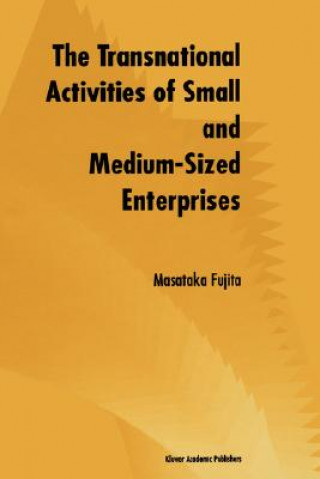 Kniha Transnational Activities of Small and Medium-Sized Enterprises Masataka Fujita