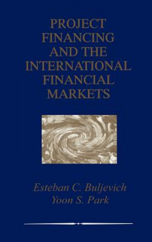 Kniha Project Financing and the International Financial Markets Esteban C. Buljevich