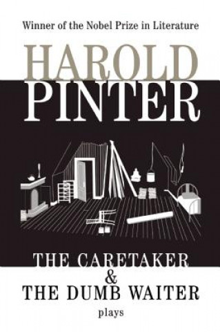 Kniha The Caretaker & the Dumb Waiter Harold Pinter