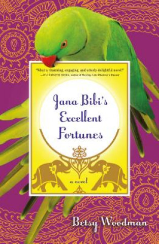 Kniha Jana Bibi's Excellent Fortunes Betsy Woodman