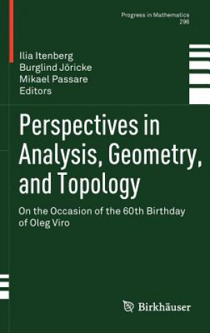 Książka Perspectives in Analysis, Geometry, and Topology Ilia Itenberg