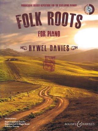 Knjiga Folk Roots for Piano Hywel Davies