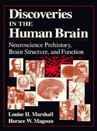 Kniha Discoveries in the Human Brain Louise H. Marshall