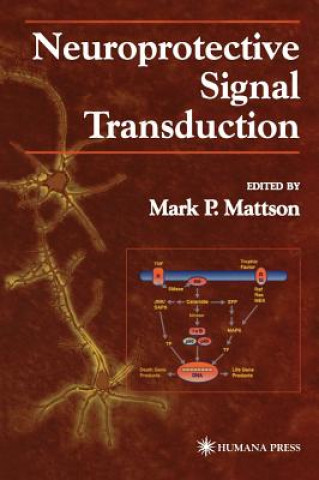 Carte Neuroprotective Signal Transduction Mark P. Mattson