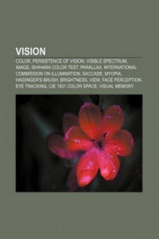 Kniha Vision 