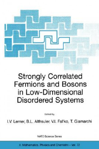 Kniha Strongly Correlated Fermions and Bosons in Low-Dimensional Disordered Systems Boris L. Althsuler