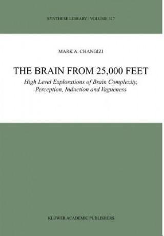 Kniha Brain from 25,000 Feet Mark A. Changizi