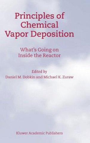 Könyv Principles of Chemical Vapor Deposition Daniel M. Dobkin