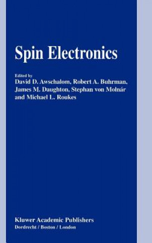 Buch Spin Electronics David D. Awschalom