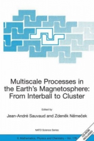 Kniha Multiscale Processes in the Earth's Magnetosphere: From Interball to Cluster Jean-Andre Sauvaud