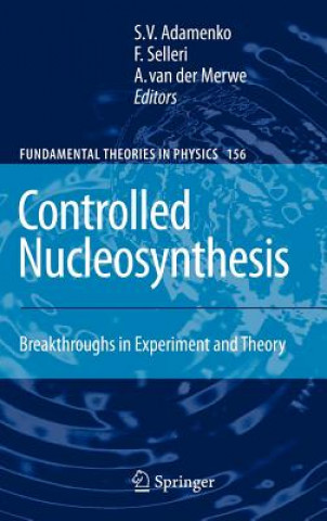 Kniha Controlled Nucleosynthesis Stanislav Adamenko