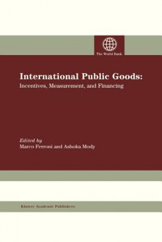 Knjiga International Public Goods Marco Ferroni