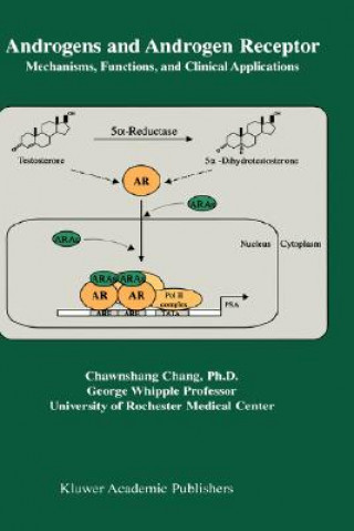 Kniha Androgens and Androgen Receptor Chawnshang Chang