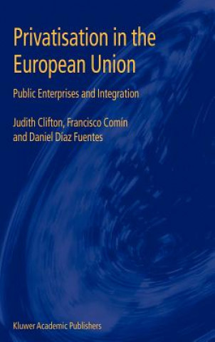 Kniha Privatisation in the European Union Judith Clifton