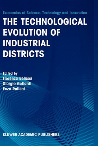 Kniha Technological Evolution of Industrial Districts Fiorenza Belussi