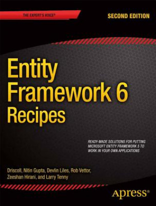 Kniha Entity Framework 6 Recipes Zeeshan Hirani