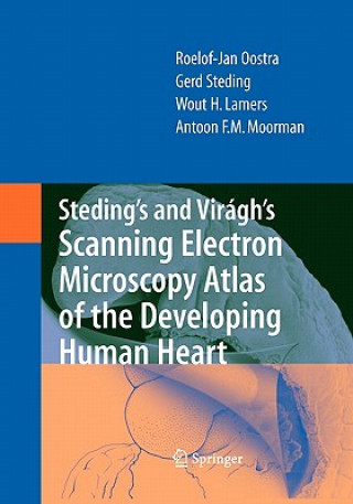 Kniha Steding's and Viragh's Scanning Electron Microscopy Atlas of the Developing Human Heart R. J. Oostra