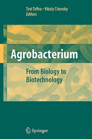 Kniha Agrobacterium: From Biology to Biotechnology Vitaly Citovsky