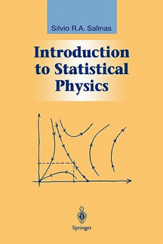 Buch Introduction to Statistical Physics Silvio Salinas