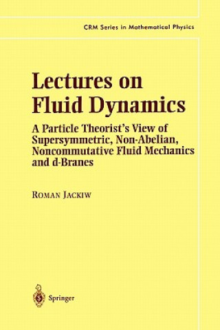 Könyv Lectures on Fluid Dynamics Roman Jackiw
