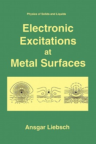 Kniha Electronic Excitations at Metal Surfaces Ansgar Liebsch