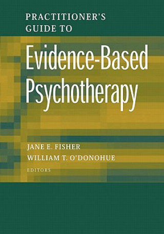 Kniha Practitioner's Guide to Evidence-Based Psychotherapy Jane E. Fisher