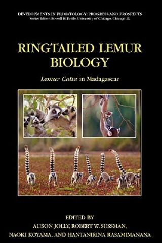 Könyv Ringtailed Lemur Biology Alison Jolly