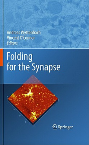 Carte Folding for the Synapse Andreas Wyttenbach