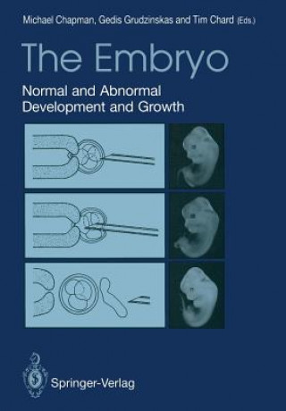 Kniha Embryo Michael G. Chapman
