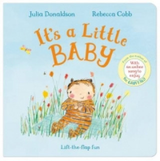 Könyv It's a Little Baby Julia Donaldson