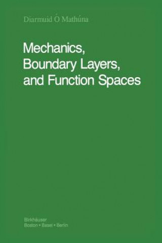 Kniha Mechanics, Boundary Layers and Function Spaces Diarmuid Ó'Mathúna