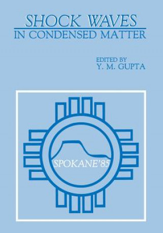 Buch Shock Waves in Condensed Matter Y. M. Gupta