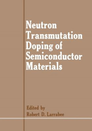 Könyv Neutron Transmutation Doping of Semiconductor Materials Robert D. Larrabee