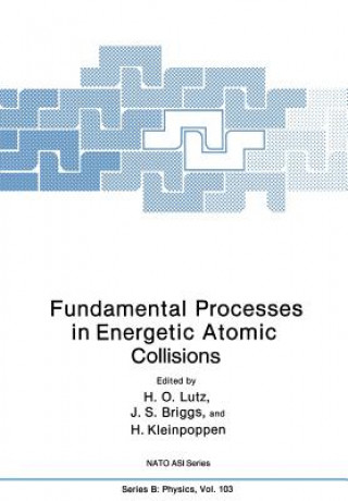 Könyv Fundamental Processes in Energetic Atomic Collisions J. S. Briggs