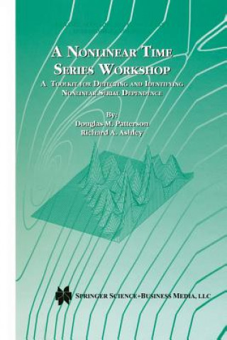 Knjiga Nonlinear Time Series Workshop Douglas M. Patterson