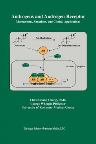 Könyv Androgens and Androgen Receptor Chawnshang Chang