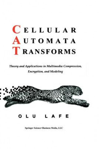 Carte Cellular Automata Transforms Olu Lafe