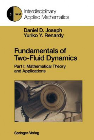 Kniha Fundamentals of Two-Fluid Dynamics Daniel D. Joseph