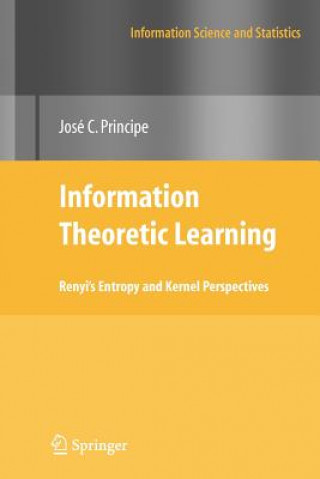 Libro Information Theoretic Learning Jose C. Principe