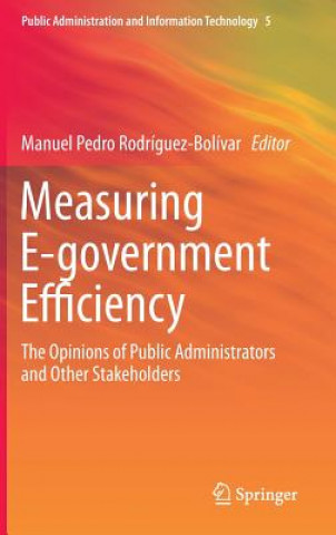 Knjiga Measuring E-government Efficiency Manuel Pedro Rodríguez-Bolívar