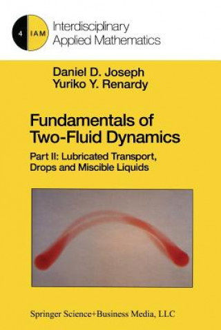 Kniha Fundamentals of Two-Fluid Dynamics Daniel D. Joseph