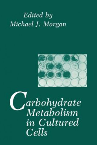 Kniha Carbohydrate Metabolism in Cultured Cells M. J. Morgan