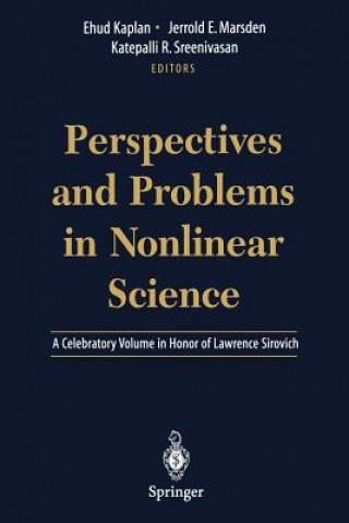 Buch Perspectives and Problems in Nonlinear Science Ehud Kaplan