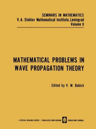 Livre Mathematical Problems in Wave Propagation Theory V. M. Babich