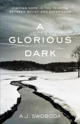 Kniha Glorious Dark A J Swoboda