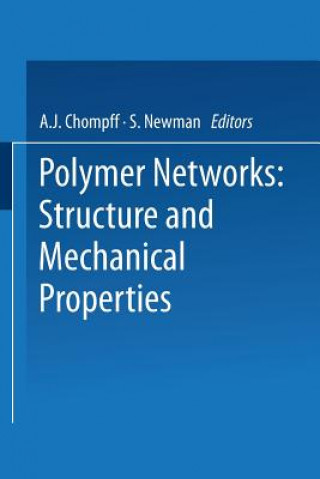 Książka Polymer Networks A. Chompff