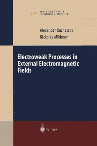 Kniha Electroweak Processes in External Electromagnetic Fields Alexander Kuznetsov