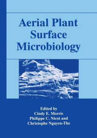 Kniha Aerial Plant Surface Microbiology Cindy E. Morris